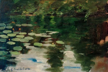 Seerosen auf dem Teich